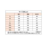 ブラウス シャツ レディース | PlusNao | 詳細画像7