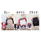 Tシャツ カットソー ラグラン | PlusNao | 詳細画像18 
