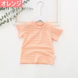 Tシャツ カットソー ラウンドネック | PlusNao | 詳細画像17 