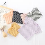 Tシャツ カットソー ラウンドネック | PlusNao | 詳細画像9 