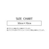 洗車タオル 単品 1枚 | PlusNao | 詳細画像10