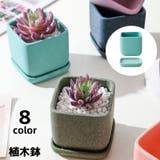 植木鉢 フラワーポット 陶器 | PlusNao | 詳細画像1 