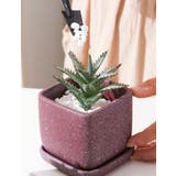 植木鉢 フラワーポット 陶器 | PlusNao | 詳細画像2 