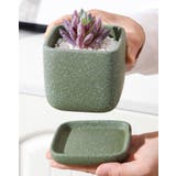 植木鉢 フラワーポット 陶器 | PlusNao | 詳細画像3 