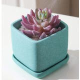 植木鉢 フラワーポット 陶器 | PlusNao | 詳細画像4 