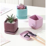 植木鉢 フラワーポット 陶器 | PlusNao | 詳細画像6 