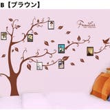 ウォールステッカー 壁ステッカー 壁紙シール | PlusNao | 詳細画像3 