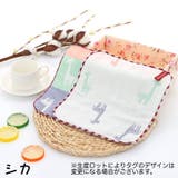ハンカチタオル ハンドタオル キッズ | PlusNao | 詳細画像2