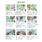 ウォールステッカー 転写式 壁ステッカー | PlusNao | 詳細画像8 