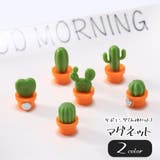 マグネット 磁石 6種セット | PlusNao | 詳細画像1