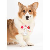 保護ケース カバー AirTag | PlusNao | 詳細画像4 