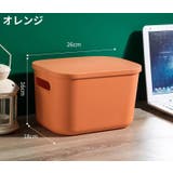 収納ボックス 収納ケース ノーマルS | PlusNao | 詳細画像5 