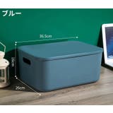 収納ボックス 収納ケース ノーマルM | PlusNao | 詳細画像2