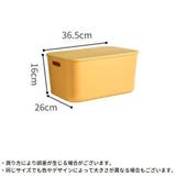 収納ボックス 収納ケース ノーマルM | PlusNao | 詳細画像9