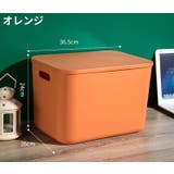 収納ボックス 収納ケース ノーマルL | PlusNao | 詳細画像7