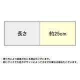 フルウィッグ カラーウィッグ レディース | PlusNao | 詳細画像20 