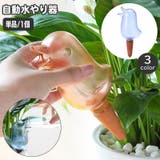 自動水やり器 自動給水器 単品 | PlusNao | 詳細画像1