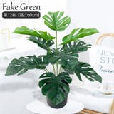 フェイクグリーン 人工観葉植物 造花 | PlusNao | 詳細画像1