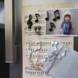 マグネット 磁石 6個セット | PlusNao | 詳細画像3