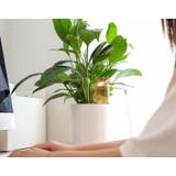 自動水やり器 自動給水器 ガーデニング用品 | PlusNao | 詳細画像6