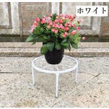 フラワースタンド 3個セット 花台 | PlusNao | 詳細画像17 