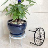 フラワースタンド 3個セット 花台 | PlusNao | 詳細画像2 