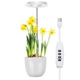 植物育成ライト プラントライト 高さ調節可能 | PlusNao | 詳細画像2