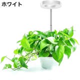 植物育成ライト プラントライト 高さ調節可能 | PlusNao | 詳細画像7