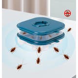 ゴキブリ捕獲トラップ 家庭用 ゴキブリ捕獲ボックス | PlusNao | 詳細画像2