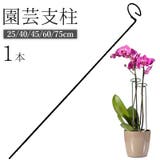 園芸支柱 植木鉢 観葉植物 | PlusNao | 詳細画像1 