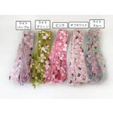 靴紐 靴ひも シューレース | PlusNao | 詳細画像8 