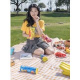 レジャーシート ピクニックシート アウトドア用品 | PlusNao | 詳細画像3