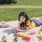 レジャーシート ピクニックシート アウトドア用品 | PlusNao | 詳細画像6 