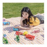 レジャーシート 150×180cm 折りたたみ | PlusNao | 詳細画像8 