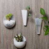 壁掛け植木鉢 壁掛けプランター インテリア | PlusNao | 詳細画像5