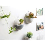 壁掛け植木鉢 壁掛けプランター インテリア | PlusNao | 詳細画像9