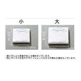 衣類収納ケース ファイル式 折りたたみ式 | PlusNao | 詳細画像10
