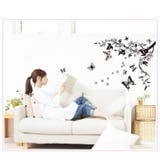 ウォールステッカー 壁紙シール 壁シール | PlusNao | 詳細画像2