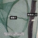 魚網 4 6 | PlusNao | 詳細画像6