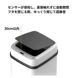 ゴミ箱 ダストボックス 大容量15L | PlusNao | 詳細画像14 