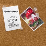画鋲 100本セット 画びょう | PlusNao | 詳細画像6
