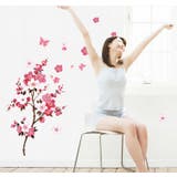 ウォールステッカー 壁ステッカー 壁紙シール | PlusNao | 詳細画像2 