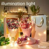 イルミネーションライト クリスマスライト 電飾 | PlusNao | 詳細画像1 