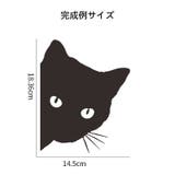 ウォールステッカー 壁ステッカー 壁紙シール | PlusNao | 詳細画像6 