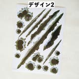 カーステッカー ボディステッカー 車用ステッカー | PlusNao | 詳細画像9 