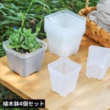 植木鉢 4個組 鉢植え | PlusNao | 詳細画像1