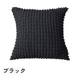 クッションカバー カバーのみ 単品 | PlusNao | 詳細画像10