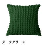 クッションカバー カバーのみ 単品 | PlusNao | 詳細画像17