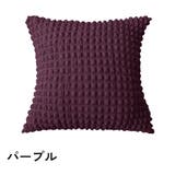クッションカバー カバーのみ 単品 | PlusNao | 詳細画像8
