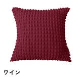 クッションカバー カバーのみ 単品 | PlusNao | 詳細画像9